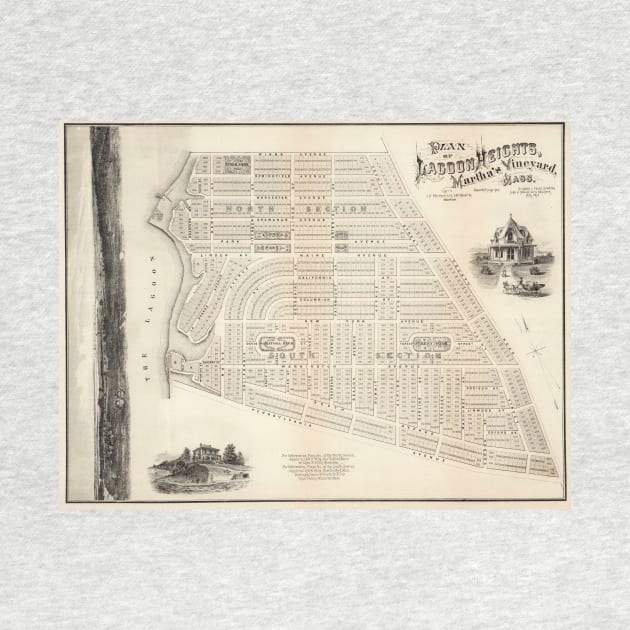 Vintage Map of Marthas Vineyard (1873) by Bravuramedia